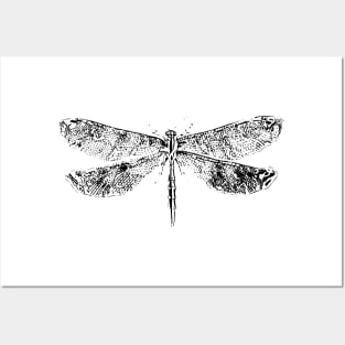 Dragonfly Posters and Art